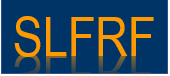 Vendor Payment Details Logo - SLFRF